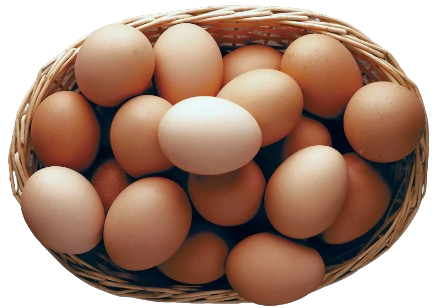 Chicken Eggs (Layer)